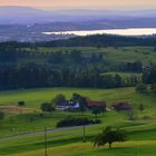 Pfäffikersee von oben