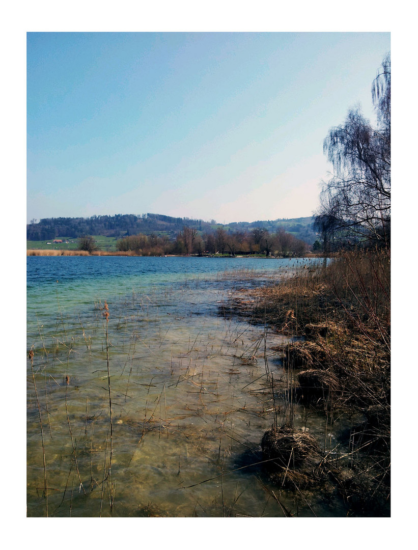 Pfäffikersee ZH Foto & Bild | landschaft, bach, fluss & see, see, teich ...