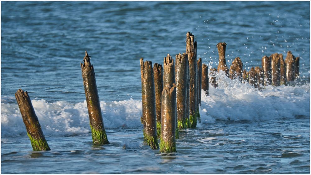 Pfähle Foto & Bild world, europa, danmark Bilder auf