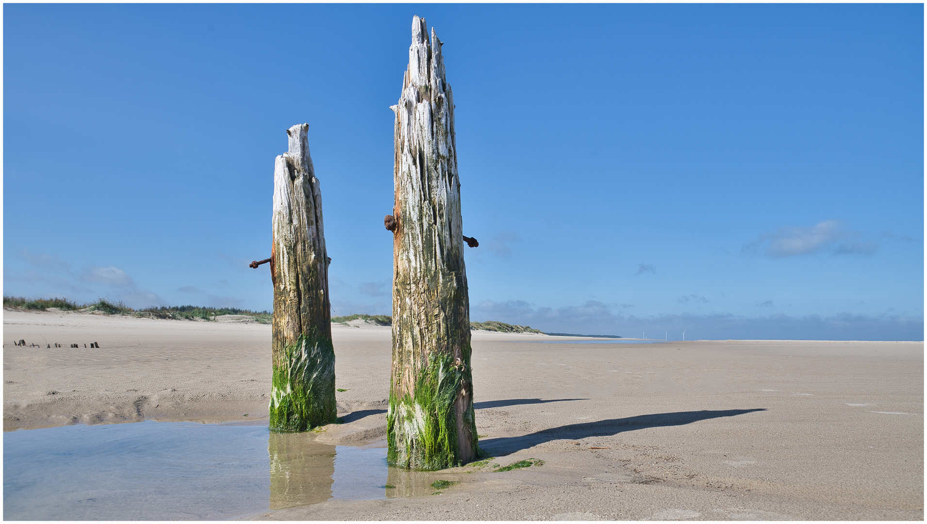 Pfähle am leeren Strand