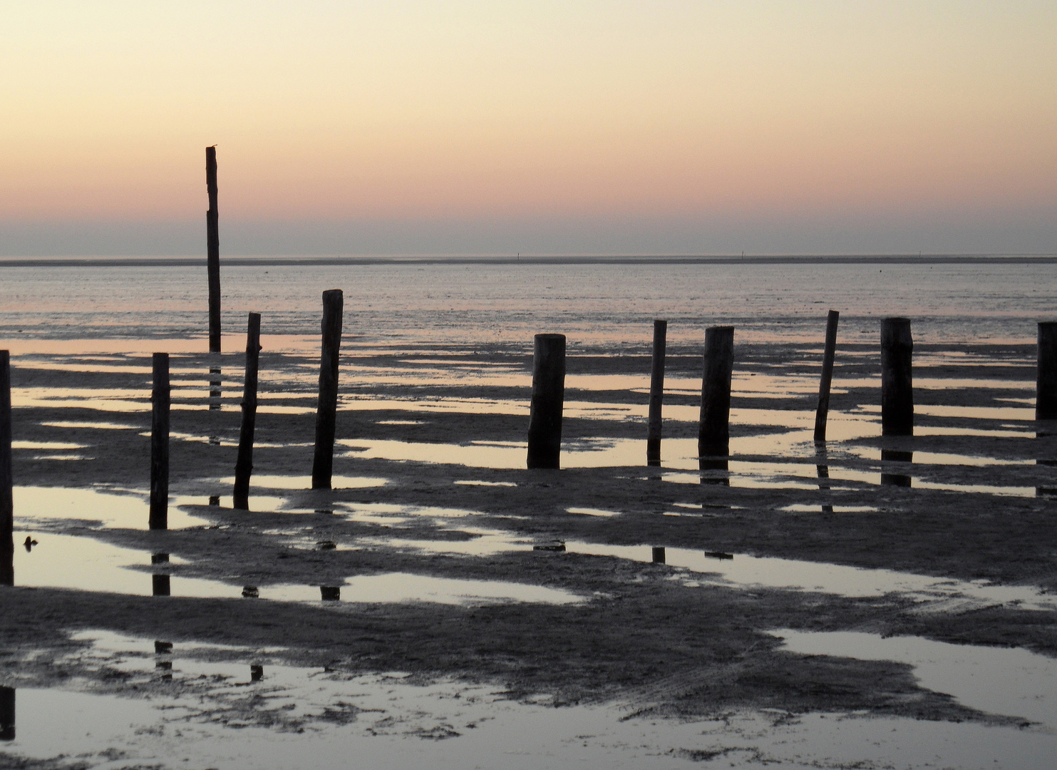 PFÄHLE am Strand