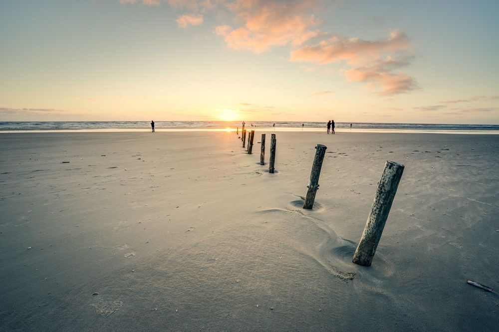 Pfähle am Strand