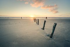 Pfähle am Strand