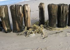 Pfähle am Strand