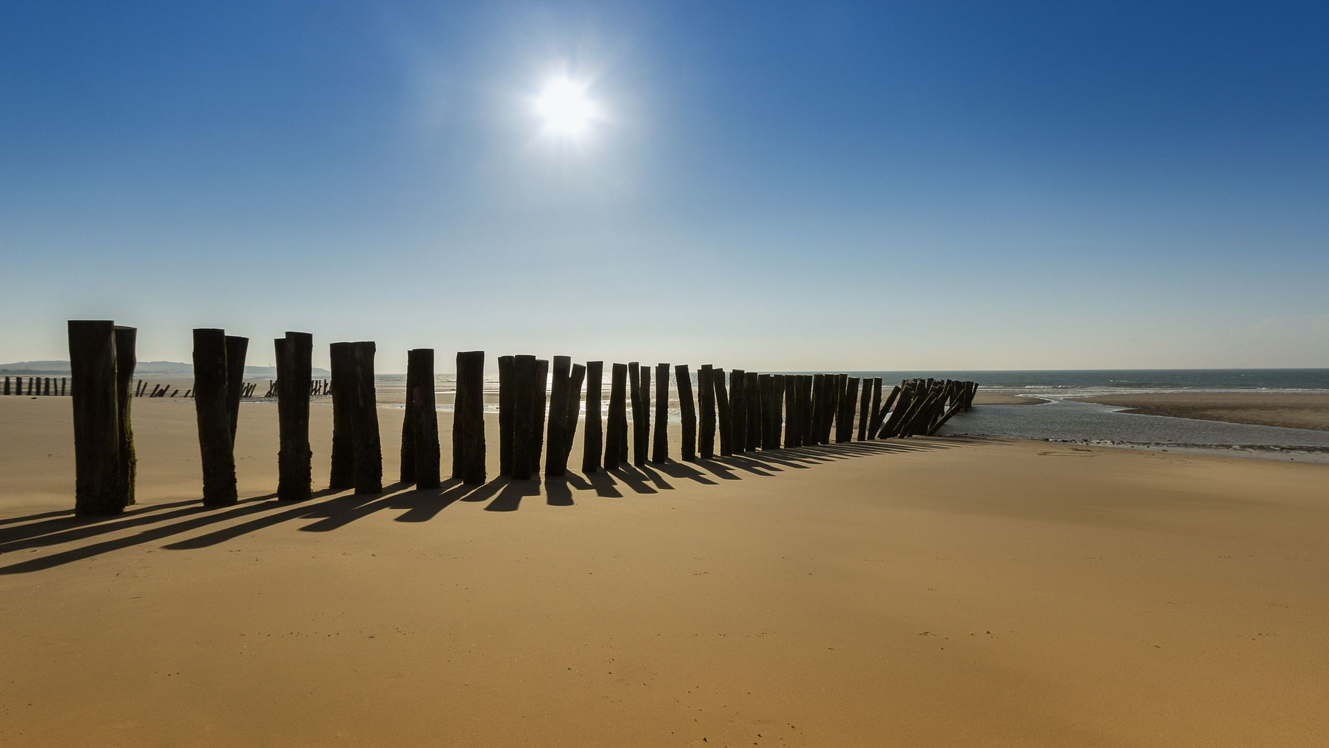 Pfähle am Strand von Wissant