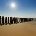 Pfähle am Strand von Wissant