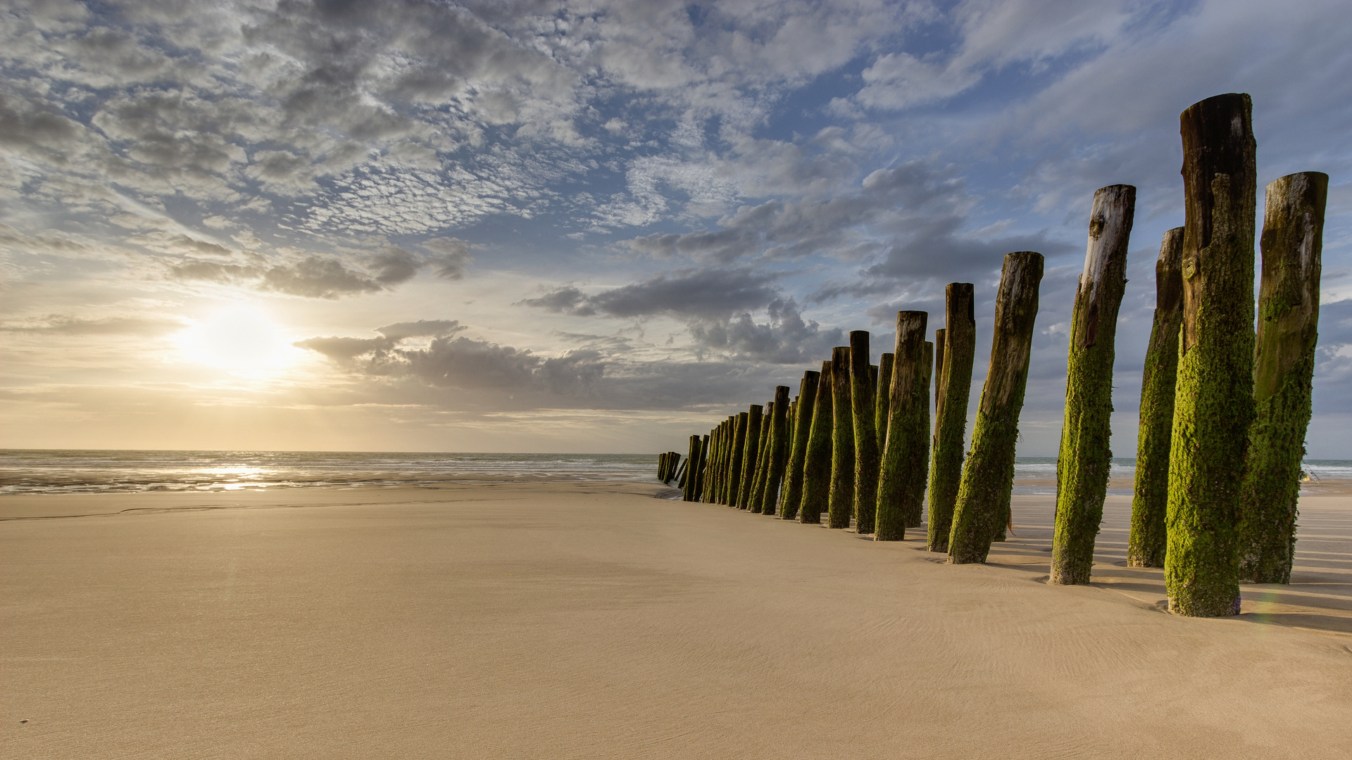 Pfähle am Strand von Wissant