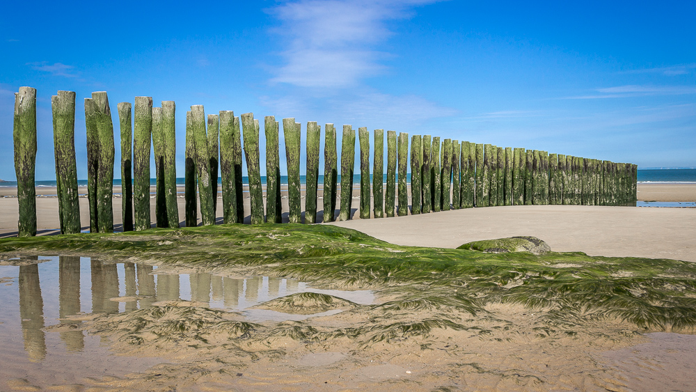 Pfähle am Strand von Wissant bei Ebbe