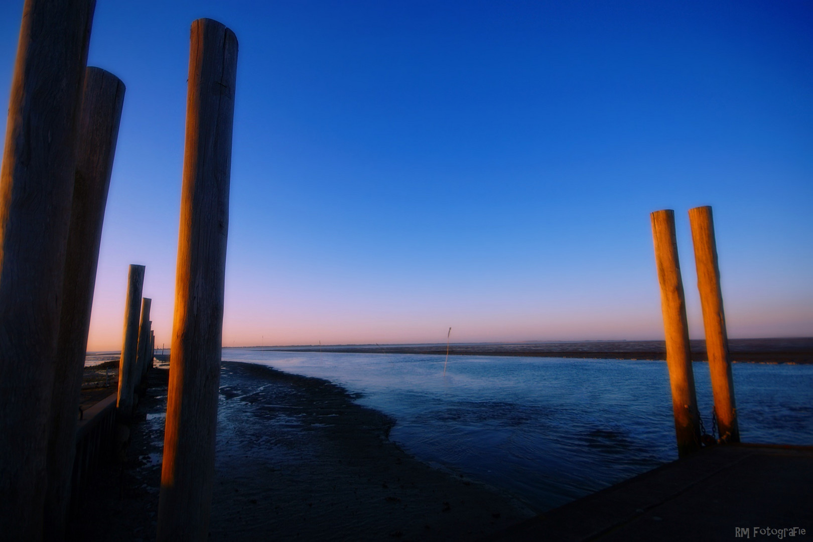 Pfähle im Abendlicht