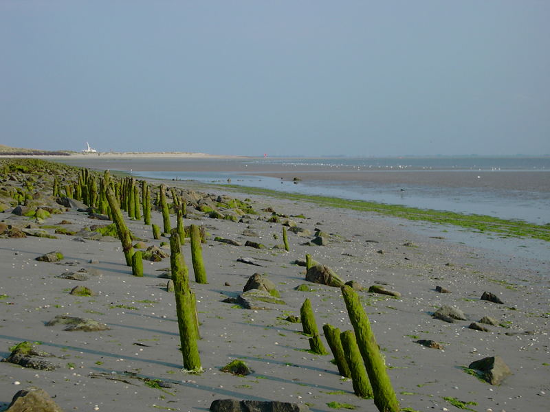 Pfähle im Sand