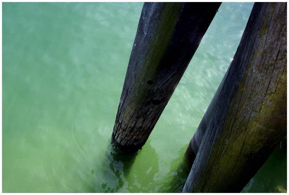 Pfähle im Wasser