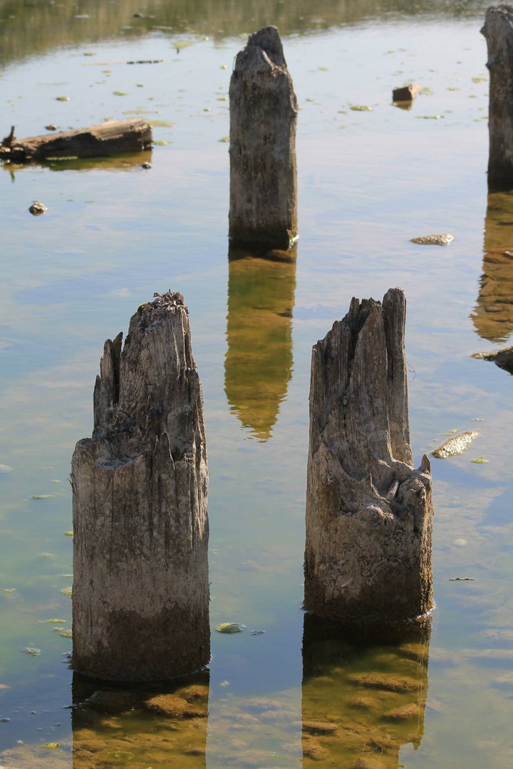 Pfähle im Wasser 