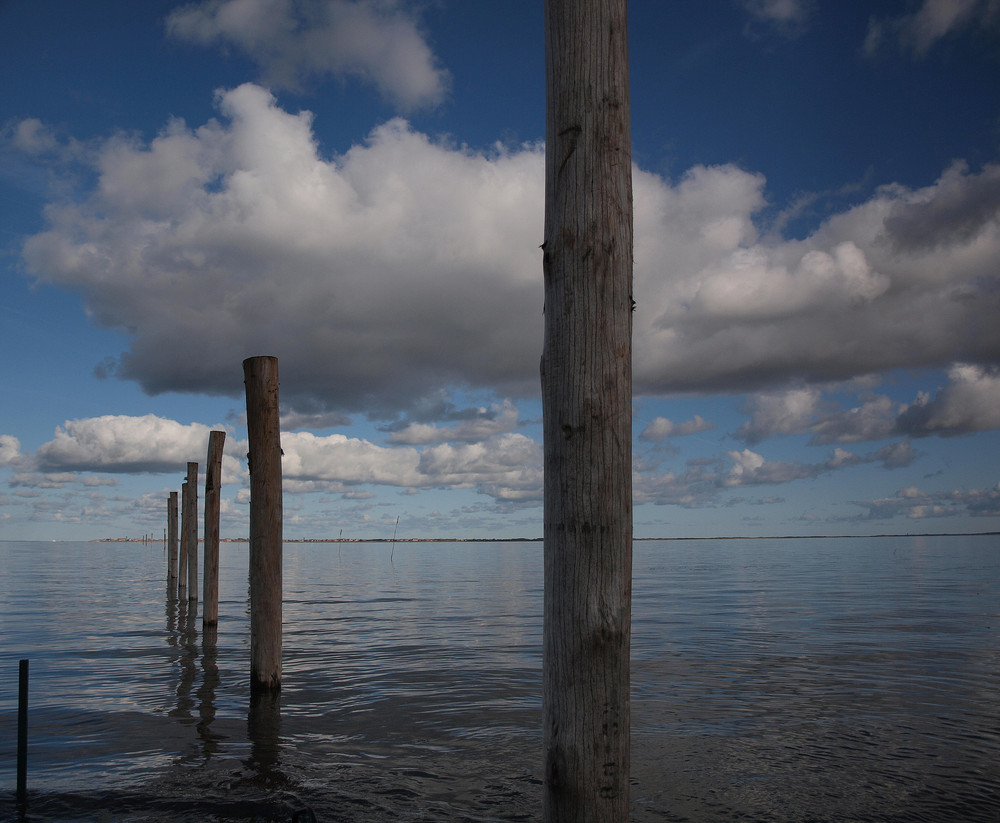 pfähle im wattenmeer