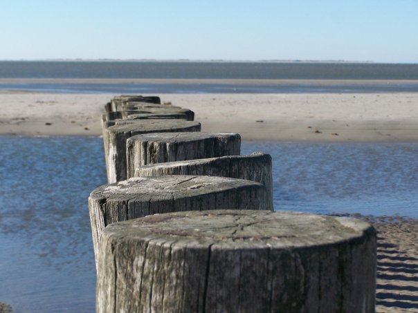 Pfähle Strand