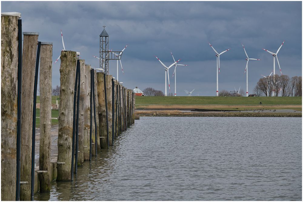 Pfähle und Windspargel