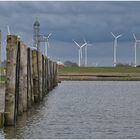 Pfähle und Windspargel