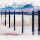 Pfaehle_im_Wattenmeer_watercolor