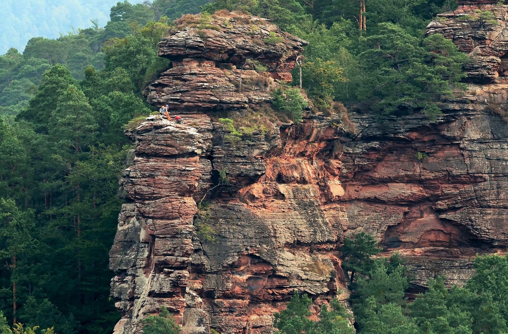 Pfälzer Berge