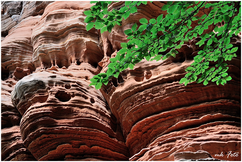 Pfälzer Buntsandstein Foto & Bild deutschland, europe, rheinland