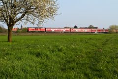 Pfälzer Dieselfrühling (Nr. 7)