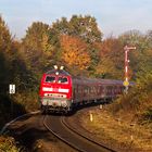 Pfälzer Dieselherbst