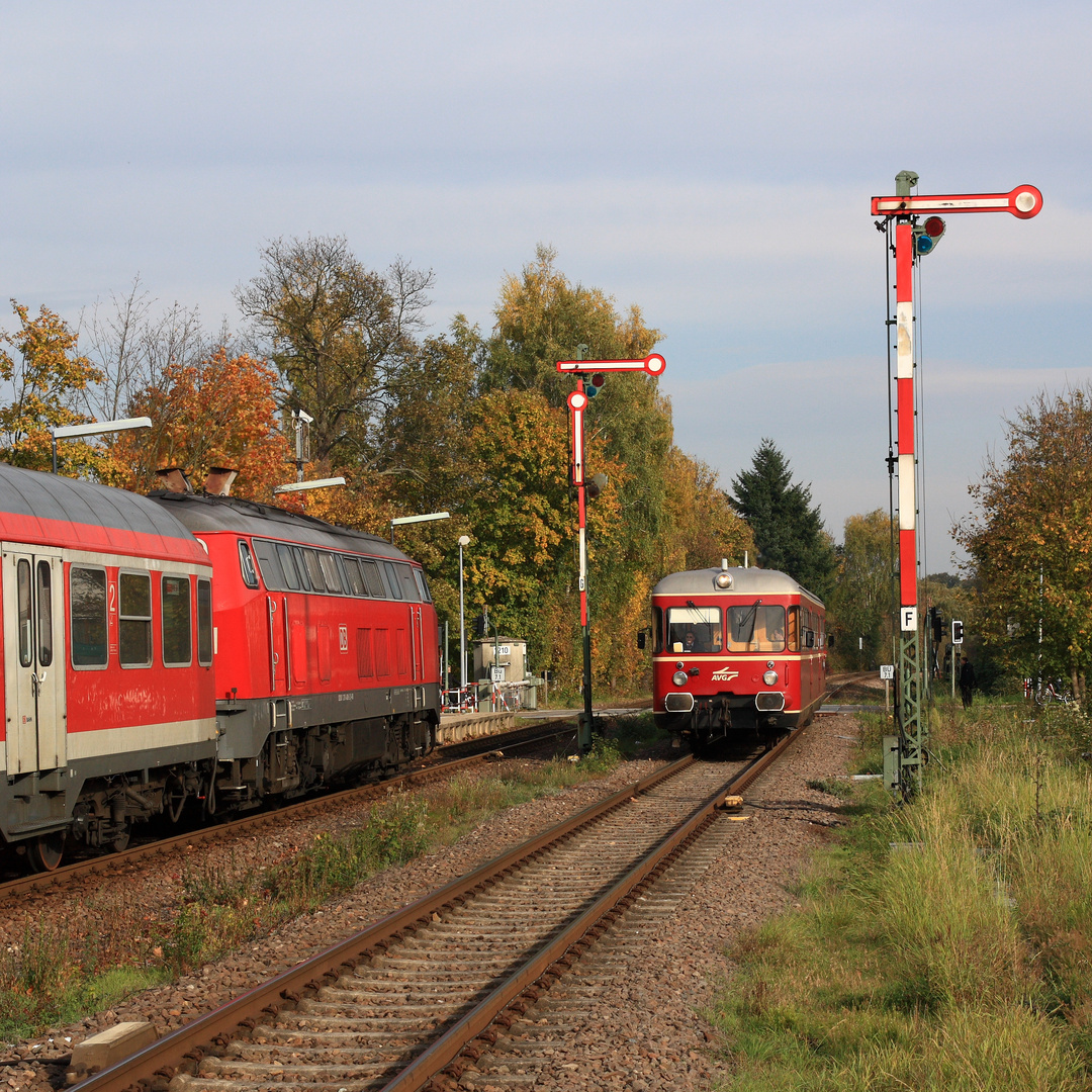 Pfälzer Dieseltreffen