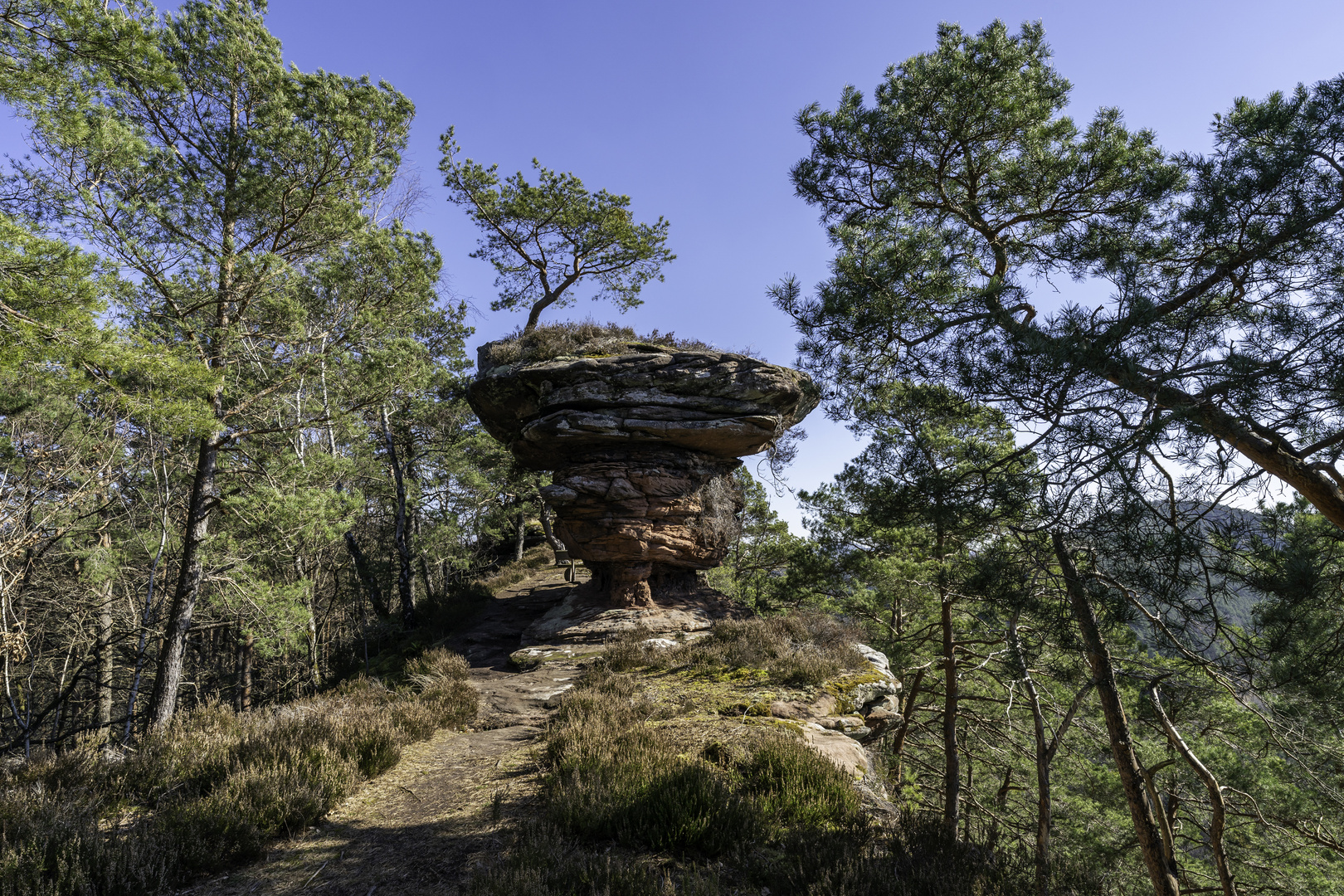 Pfälzer Felsen