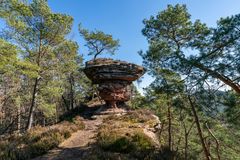 Pfälzer Felsen