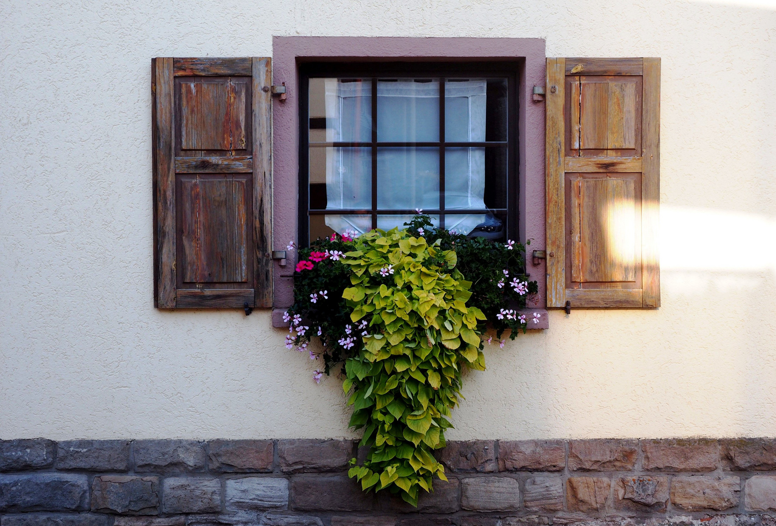 Pfälzer Fensterschmuck