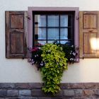 Pfälzer Fensterschmuck