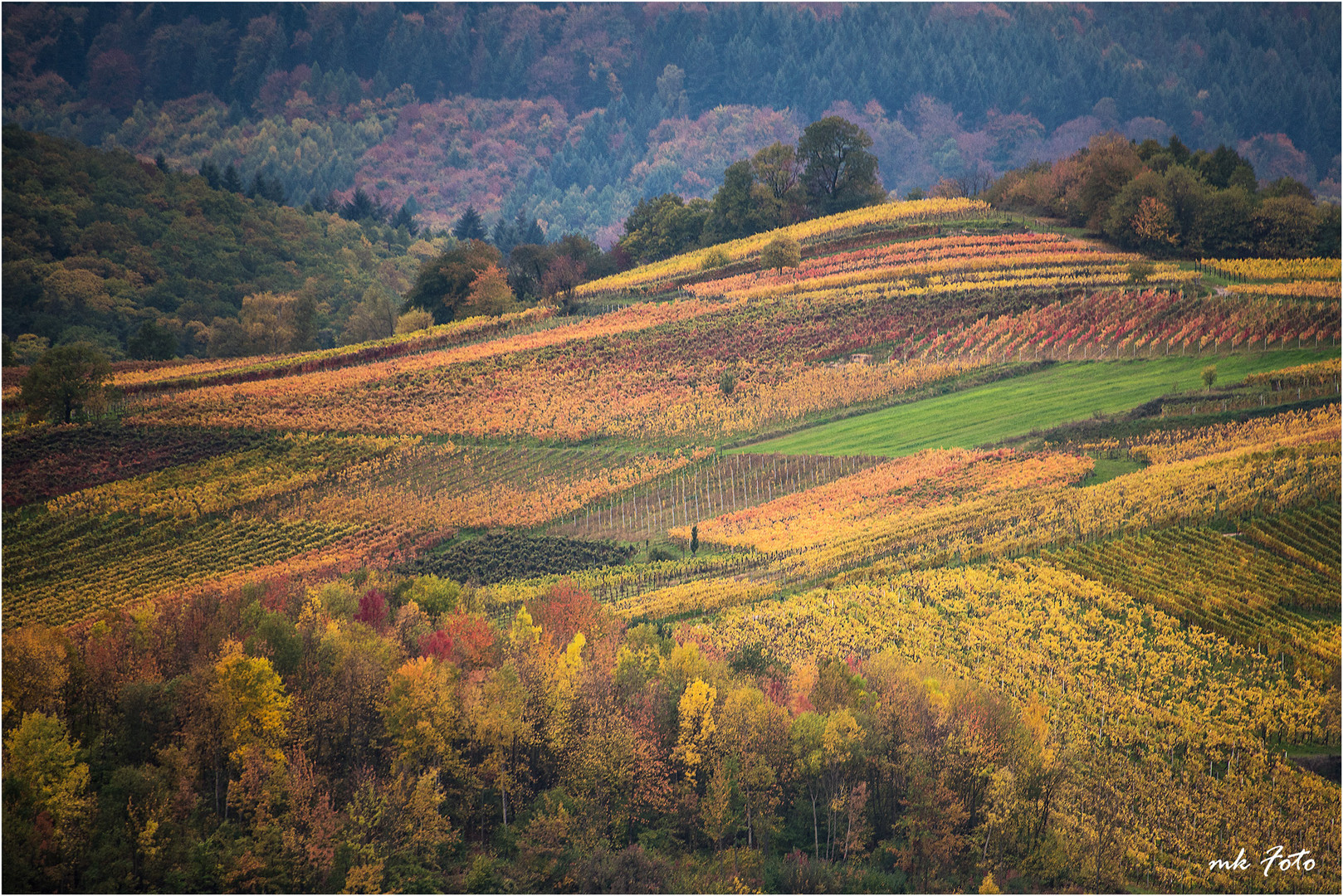 Pfälzer Herbst