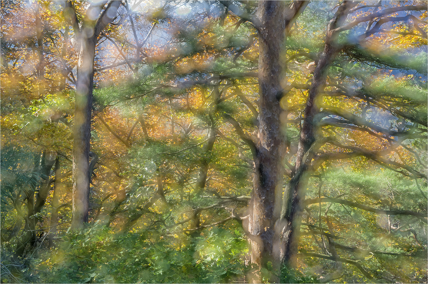 pfälzer herbstklang