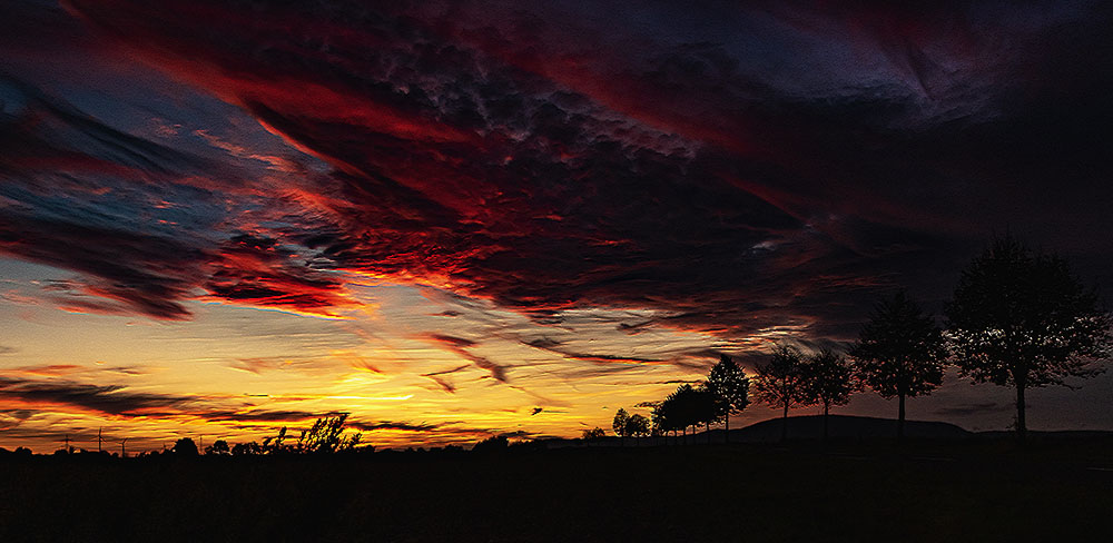 Pfälzer Himmel