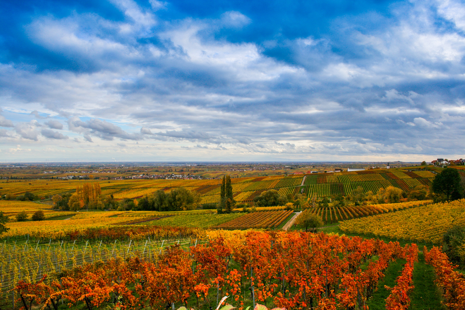 Pfälzer Landschaft