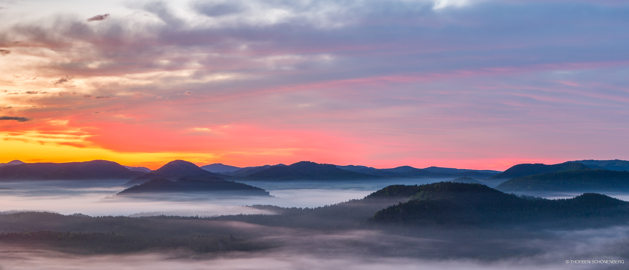 Pfälzer Nebelmeer