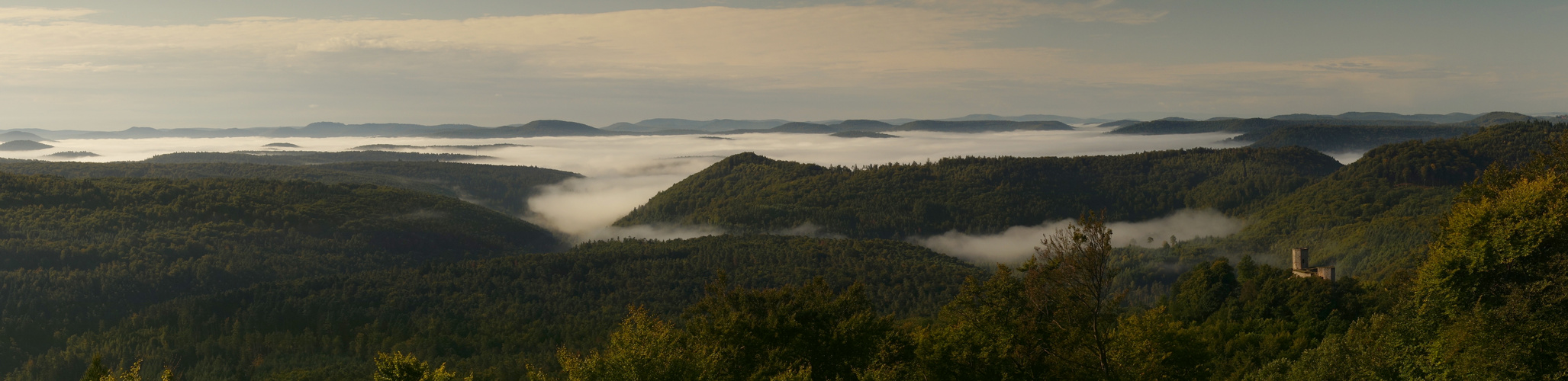 Pfälzer Panorama