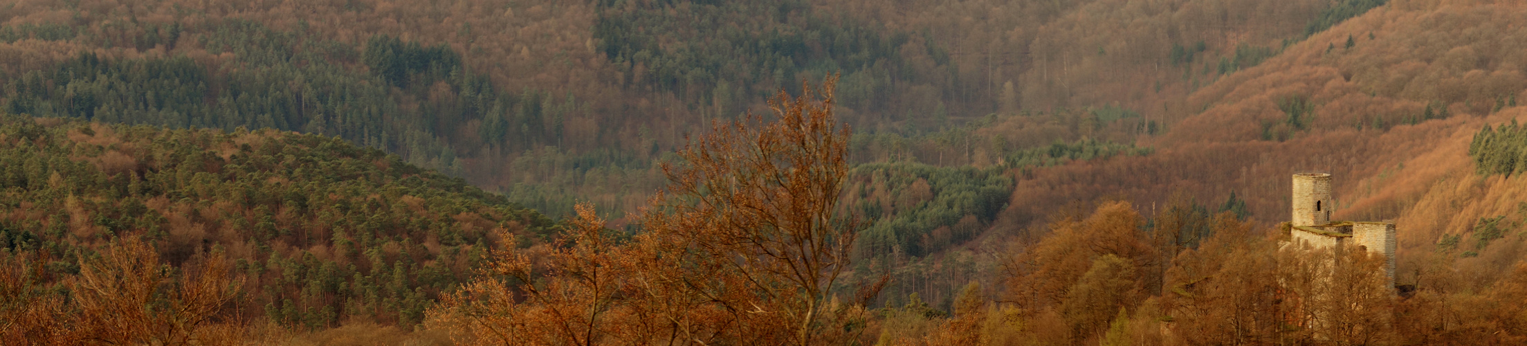 Pfälzer Panorama