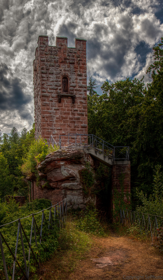 Pfälzer Ruine 2