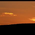 Pfälzer Sonnenuntergang