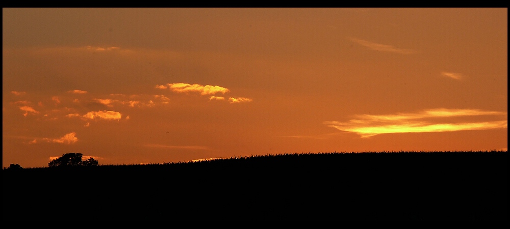 Pfälzer Sonnenuntergang