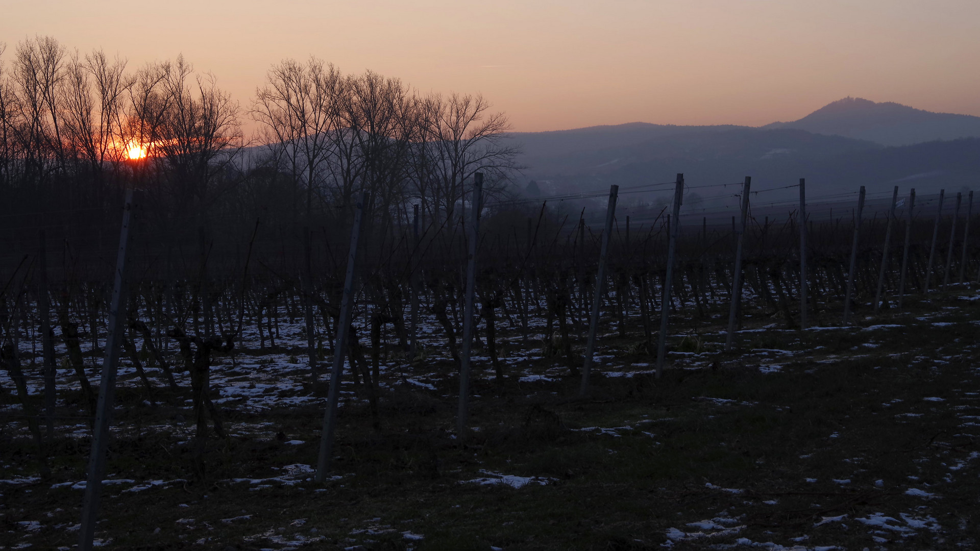 Pfälzer Sonnenuntergang