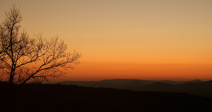 Pfälzer Sunrise