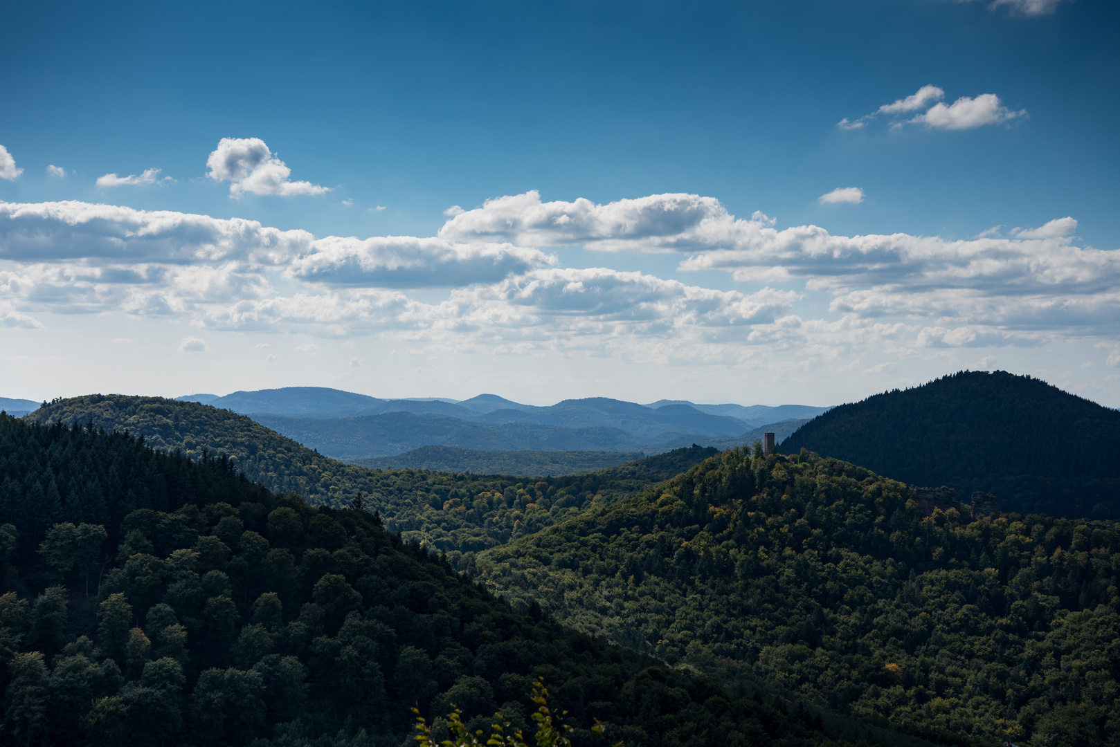 Pfälzer Wald 3