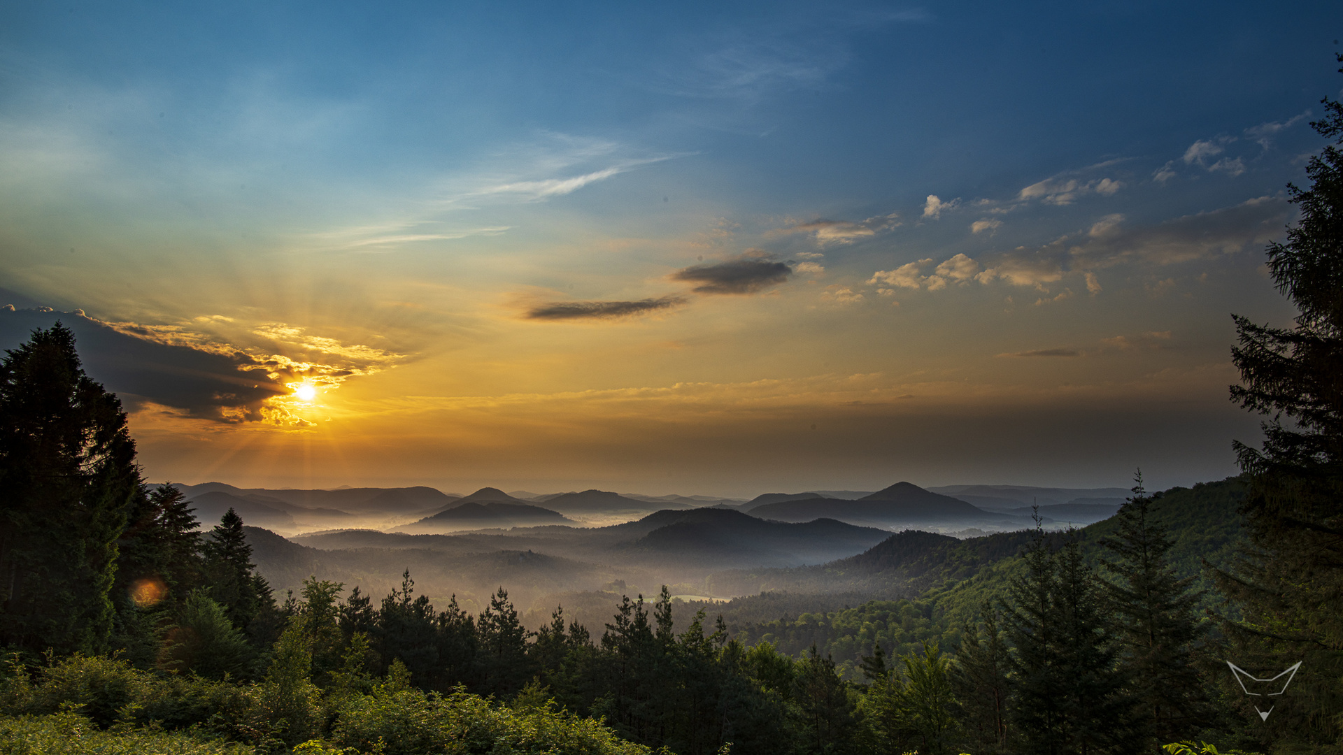 Pfälzer Wald