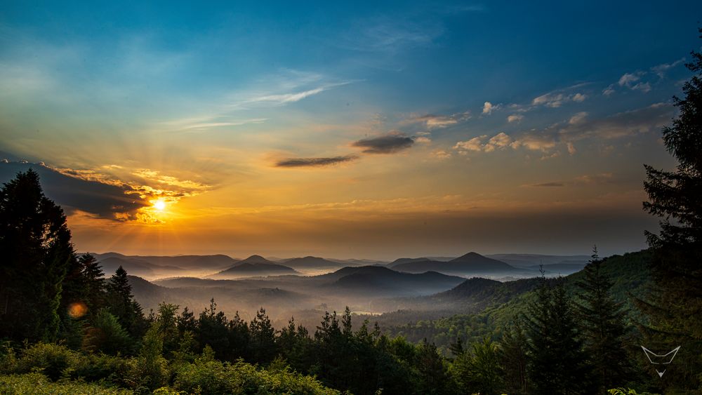 Pfälzer Wald Foto &amp; Bild | deutschland, europe, rheinland-pfalz Bilder ...