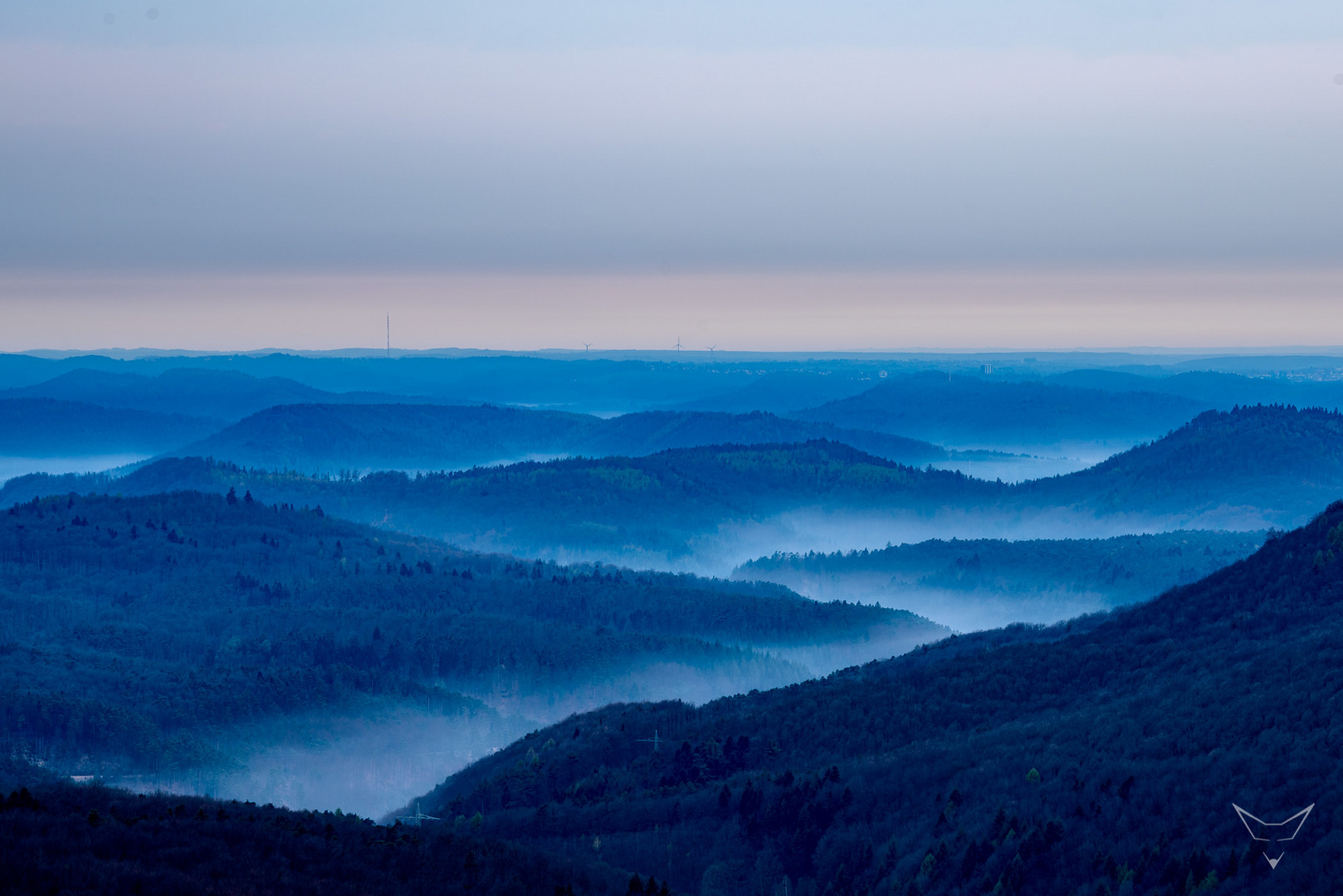 Pfälzer Wald 