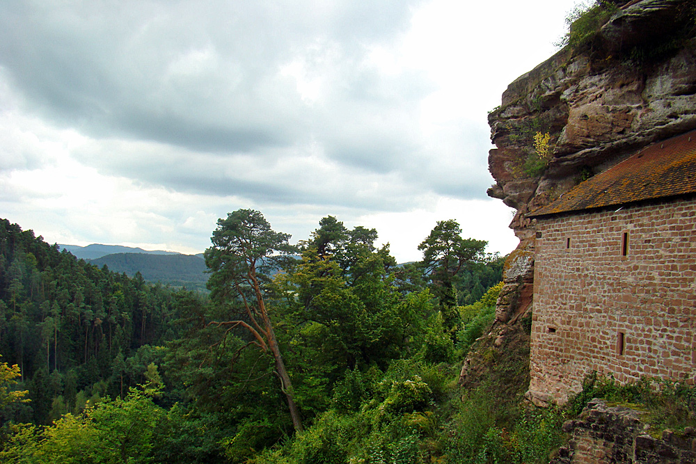 Pfälzer Wald