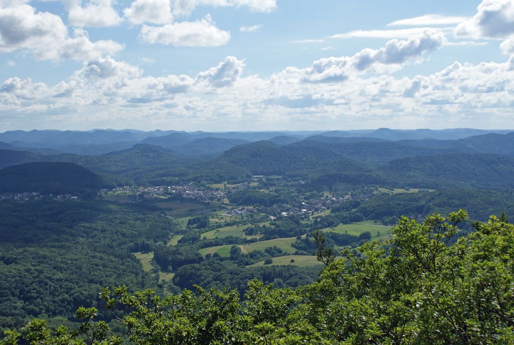 Pfälzer Wald ...