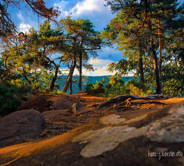 Pfälzer Wald Foto &amp; Bild | natur, landschaft, pflanzen Bilder auf ...