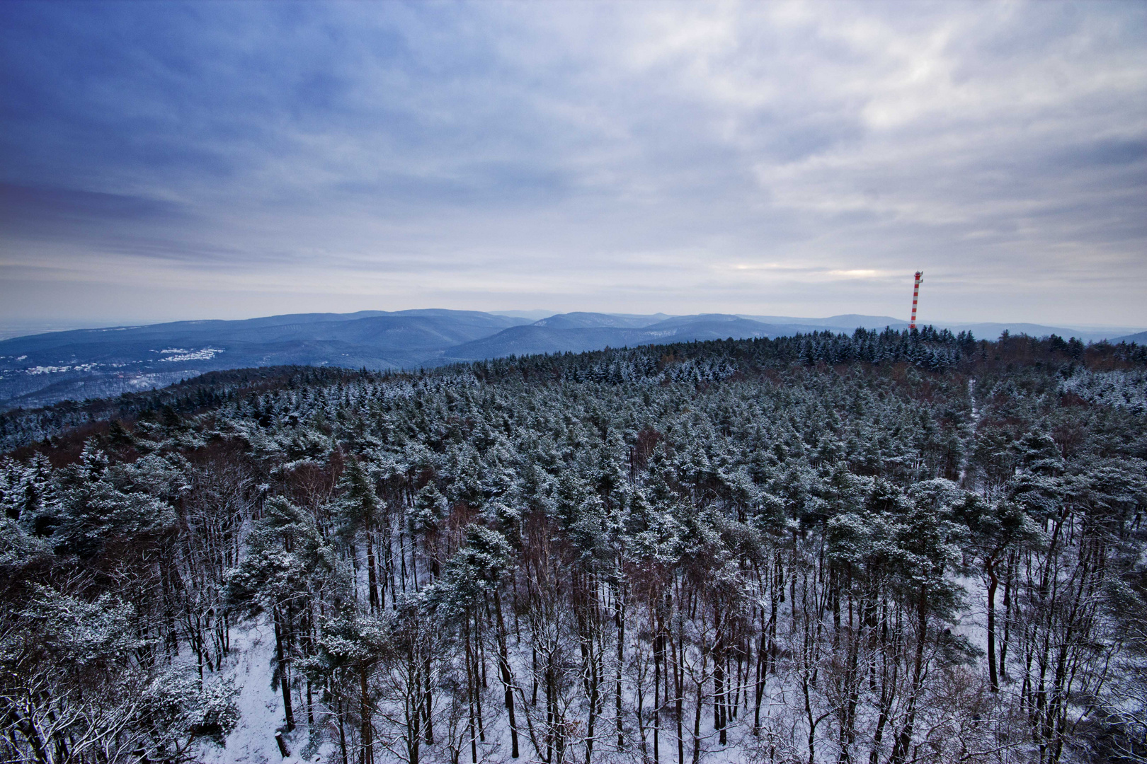 Pfälzer Wald